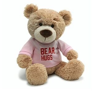 💕 NWT! RARE Gund Get Well Better Gift Corin Plush Teddy Bear Hugs Pink T shirt